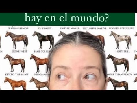 Cuántas razas de caballos hay en el mundo YouTube