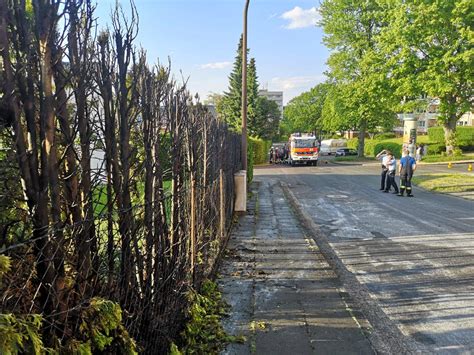 Einsatz in Bonn Feuerwehr löscht brennende Hecke in Duisdorf