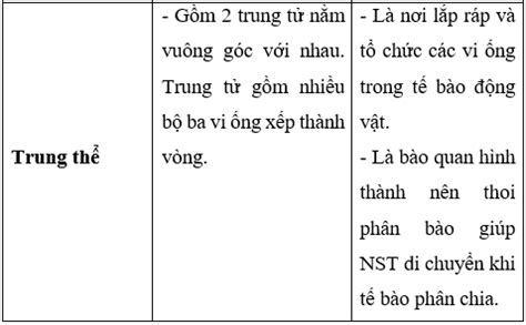 L P B Ng H Th Ng C U Tr C V Ch C N Ng C A C C B O Quan Trong T B O