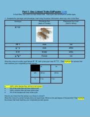 Sex Linked Traits And Pedigree Charts Pdf Part 1 Sex Linked Traits EdPuzzle Link In Fruit
