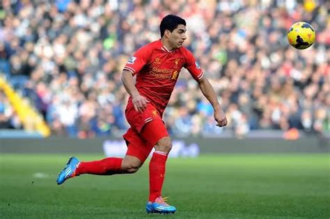 Luis Suarez says Liverpool FC future is 'not dependent' on top-four ...