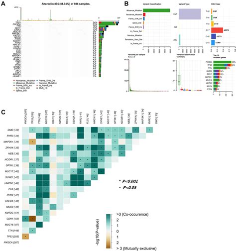 Mutation Profiles In Breast Cancer Samples A Mutation Landscape Plot