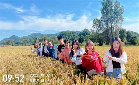 巾帼建功展风采② 服务“三农”促发展——全国巾帼文明岗甘肃丰秀源种植有限责任公司澎湃号·政务澎湃新闻 The Paper