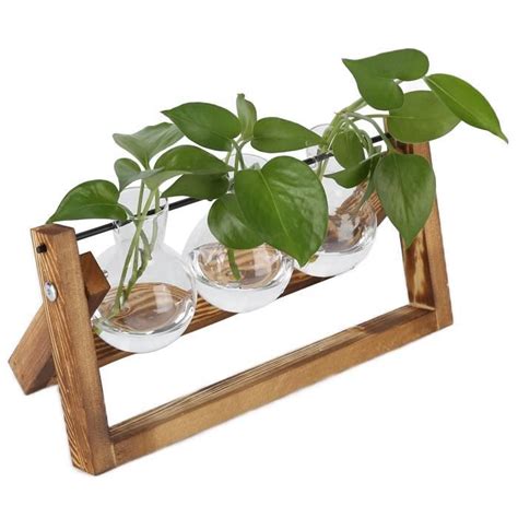 Shipenophy Terrarium Pour Plantes Avec Support En Bois Terrarium De