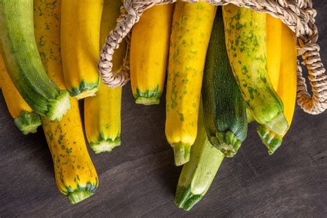 Comment Faire Pousser Des Courgettes Verticalement Guide De Jardinage