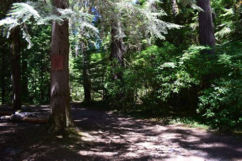 Wall Creek Warm Springs Meditation Pool Cascades Oregon Discovery