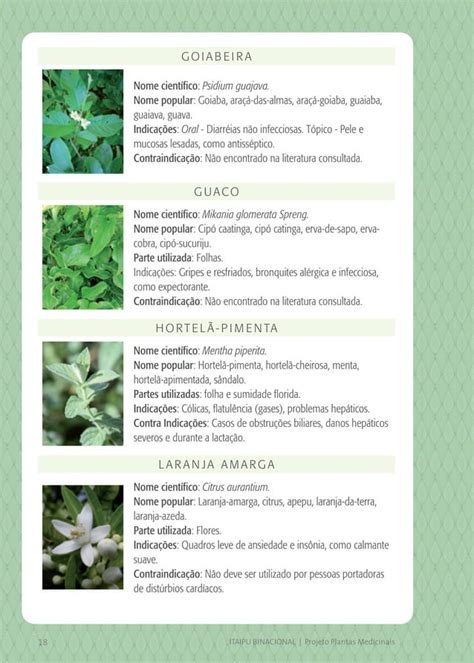 Cartilha Projeto Plantas Medicinais PDF