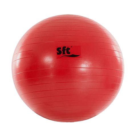 Pelota Gigante Softee Flexi Sports Equipe