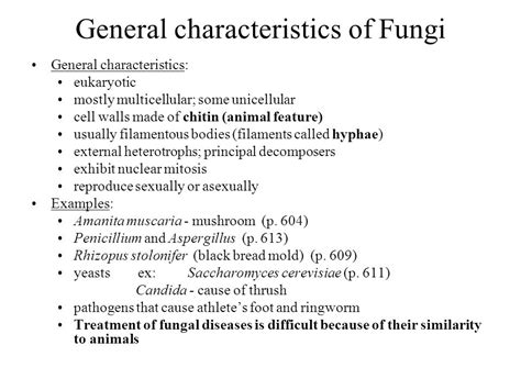 Chapter 31 Fungi Ppt Video Online Download