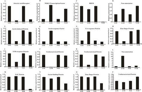 Relative Expression Levels Of 16 Degs The Relative Gene Expression