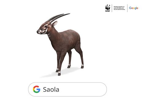 Saola Antelope