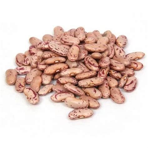 Organic Rajma Chitra Packaging Size 1 Kg At Rs 208 Kg In Multai ID