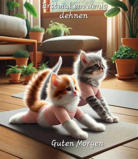 Hitze Katze Spr Che Lustig Weitere Ideen Zu Katzen Lustig