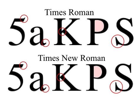 Times New Roman The Newspaper Font That Took Over Windows