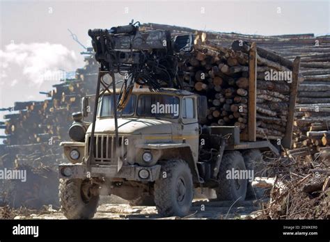 Forest Industry Operations For Loading Unloading Logging Truck At