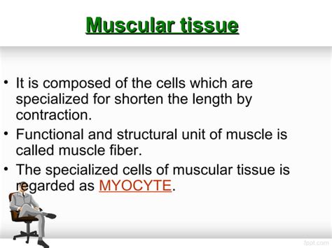 Muscle Contraction physiology | PPT