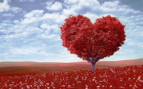 Febbraio Buon San Valentino Ecco Le Frasi Pi Romantiche Per