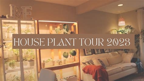 House Plant Tour 2023 And Announcement Youtube