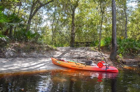 Florida Paddle Notes Withlacoochee River