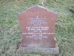 Albert Spiller Find A Grave Memorial