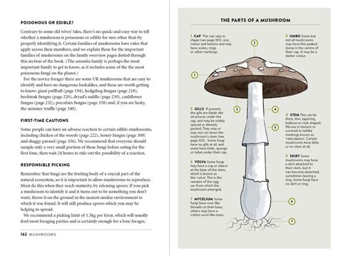 Mushroom Foraging Guide: Fungi for All Seasons from Britain's Woods and ...