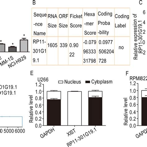 Rp11 301g191 Is Upregulated In Human Mm Tissues And Cell Lines A The