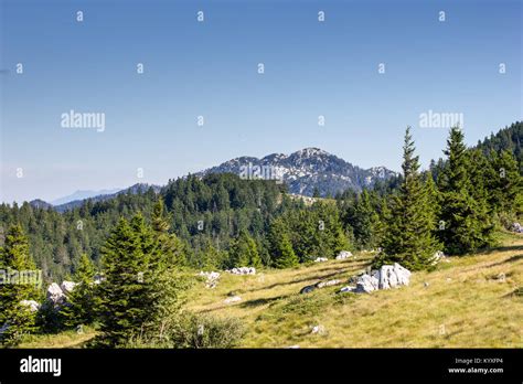 Velebit mountain croatia hi-res stock photography and images - Alamy