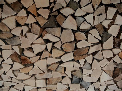 Wood Firewood Beech Free Photo On Pixabay Pixabay