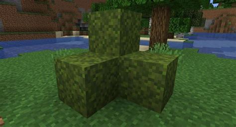 How To Get A Moss Block In Minecraft Touch Tap Play