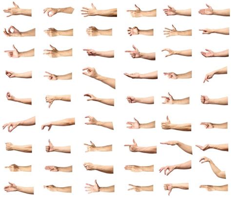 Premium Photo Multiple Male Caucasian Hand Gestures Isolated Over The