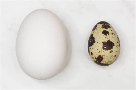 Quail Eggs (Itlog ng Pugo) - Recipes by Nora | Quail eggs, Quail, Eggs