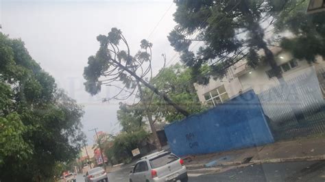 Chuva Provoca Alagamentos E Derruba Rvores Em Pontos Distintos De S O