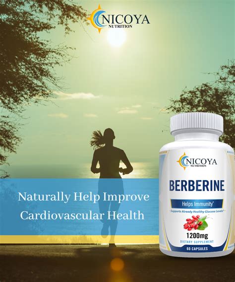 Premium Berberine Hcl Extract Mg Healthy Cholesterol Anti