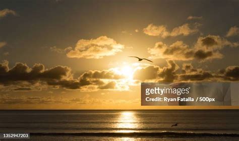 24 Ahipara Stock Photos, High-Res Pictures, and Images - Getty Images