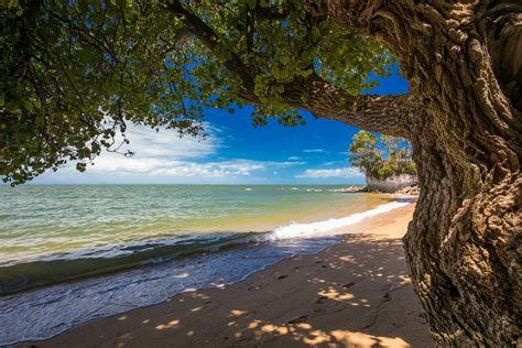 Best Beaches Near Brisbane Lonely Planet