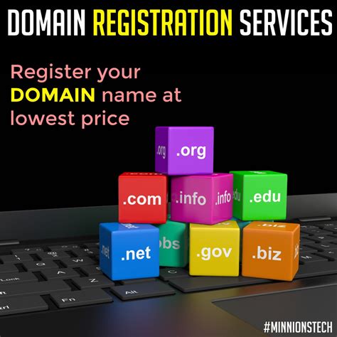 Domain Name Registration - MinnionsTech