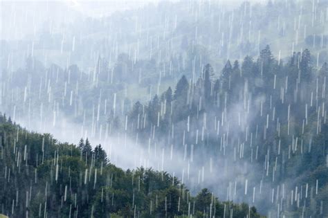 下雨的热带雨林图片 河流上面下着大雨素材 高清图片 摄影照片 寻图免费打包下载