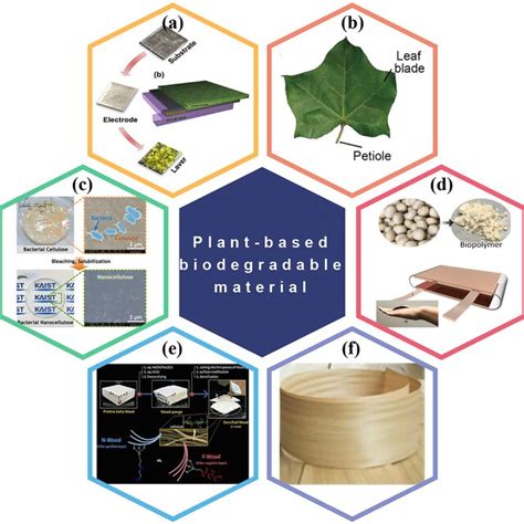 Plant Based Biodegradable Polymers Used In BD TENG A All Edible