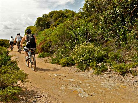 glenrock mountain biking trails nsw holidays accommodation
