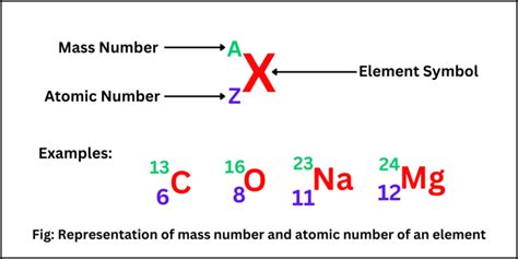 What Is Mass Number How To Find It Scienly