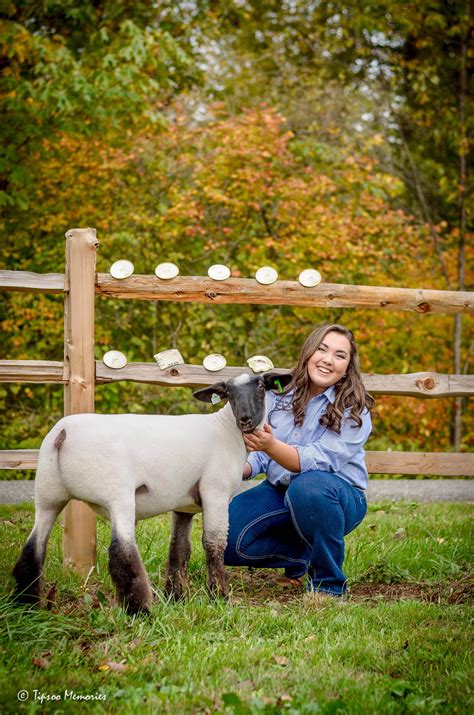 Livestock Show Photography - Livestock Cattle