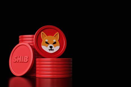 Shiba Inu Coin Prognose Wird Der SHIB Kurs Steigen Oder Fallen