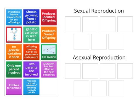 Advantages And Disadvantages Of Sexual And Asexual Reproduction Group Sort