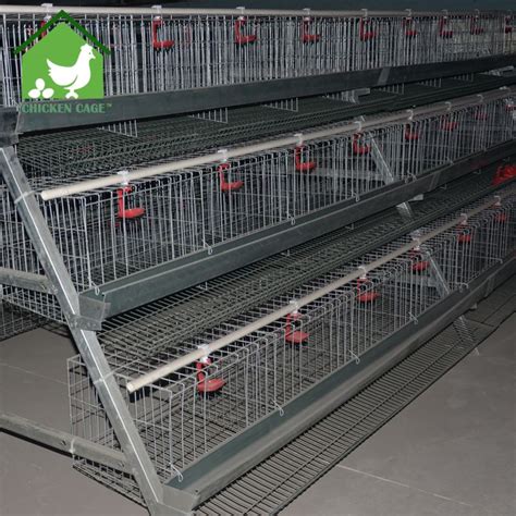 Chicken Cage For Laying Eggs Cheapest Shopping | pamirenergy.com