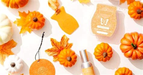 Scentsy's New Fall Winter Scents | Scentsy Online Store | Shop Scentsy