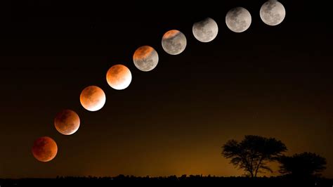 Lunar Eclipse 2023 Today Check Dos Donts Common Myths And How To