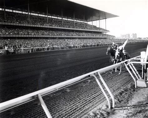 Sword Dancer (VA) | National Museum of Racing and Hall of Fame