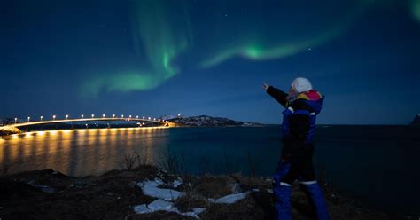 Hunt for the Aurora Borealis private tour | musement