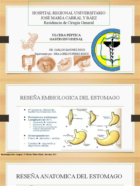 Enfermedad Ulcerosa Peptica 2020 | PDF