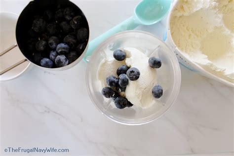 Grimace Shake Recipe - The Frugal Navy Wife